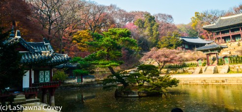 Luscious Fall Colors At Changdeokgung Palace And The Secret Garden