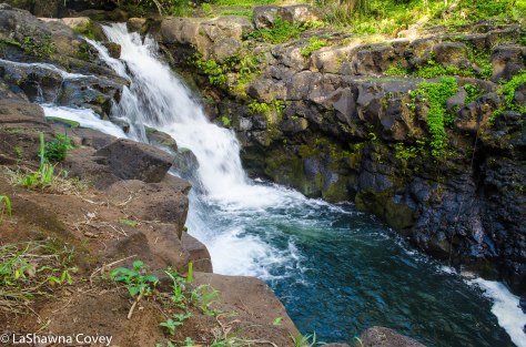 Kauai waterfalls-6